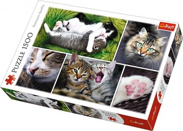 Puzzle Trefl 1500 Viata pisicilor